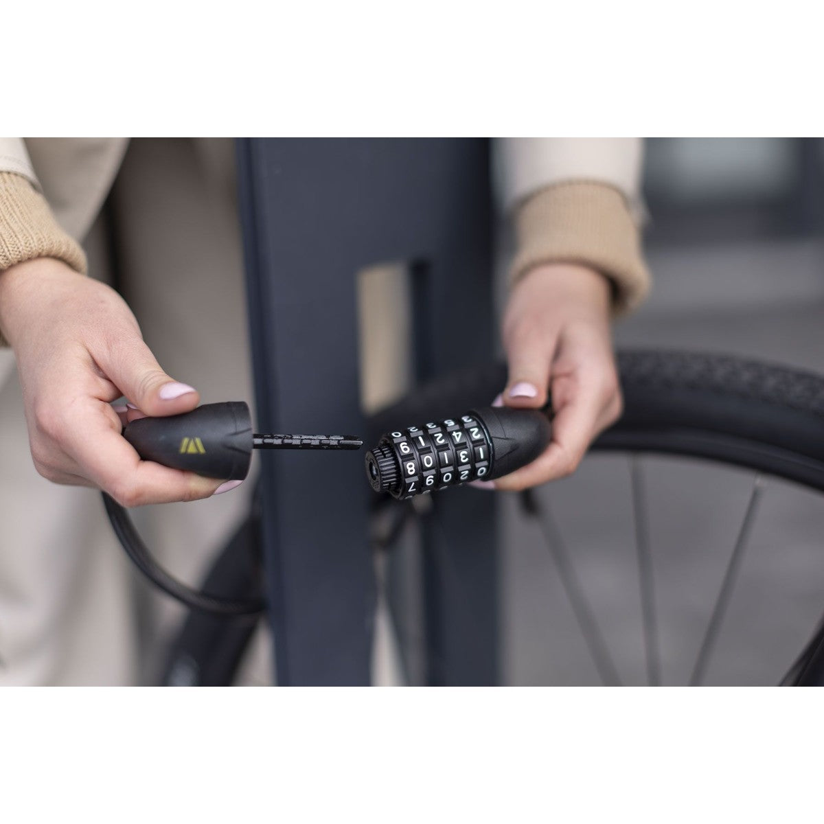 Cadenas avec support de montage